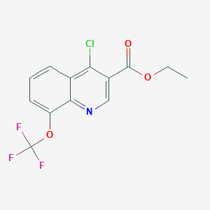 molecular formula C13H9ClF3NO3 B1453703 Ethyl 4-chloro-8-(trifluoromethoxy)quinoline-3-carboxylate CAS No. 1040013-63-5