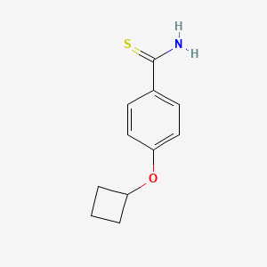 4-Cyclobutoxybenzene-1-carbothioamide