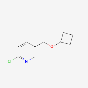 molecular formula C10H12ClNO B1453775 2-氯-5-(环丁氧基甲基)吡啶 CAS No. 1248026-51-8