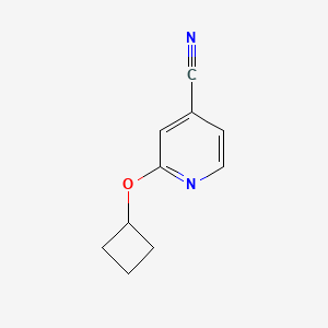 molecular formula C10H10N2O B1453786 2-Cyclobutoxypyridine-4-carbonitrile CAS No. 1249068-43-6
