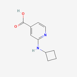molecular formula C10H12N2O2 B1453790 2-(Cyclobutylamino)isonicotinic acid CAS No. 1251225-65-6