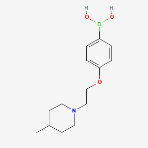 molecular formula C14H22BNO3 B1453795 4-(2-(4-甲基哌啶-1-基)乙氧基)苯硼酸 CAS No. 1312801-94-7