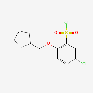 molecular formula C12H14Cl2O3S B1453897 5-Chloro-2-(cyclopentylmethoxy)benzene-1-sulfonyl chloride CAS No. 1342182-33-5