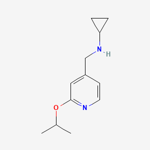 molecular formula C12H18N2O B1453910 N-{[2-(propan-2-yloxy)pyridin-4-yl]methyl}cyclopropanamine CAS No. 1250524-34-5