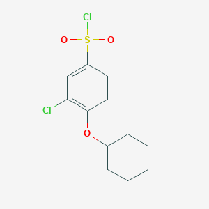 molecular formula C12H14Cl2O3S B1453947 3-Chloro-4-(cyclohexyloxy)benzene-1-sulfonyl chloride CAS No. 1041531-84-3