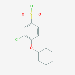 3-Chloro-4-(cyclohexyloxy)benzene-1-sulfonyl chloride