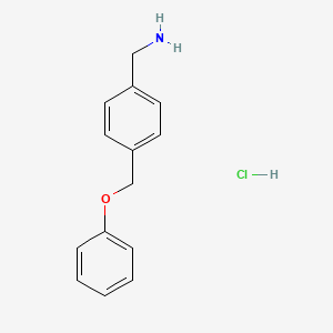 molecular formula C14H16ClNO B1453958 [4-(Phenoxymethyl)phenyl]methanamine hydrochloride CAS No. 1170512-40-9