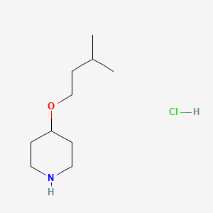4-(Isopentyloxy)piperidine hydrochloride