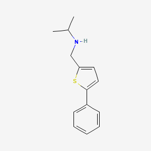 molecular formula C14H17NS B1454052 [(5-Phenylthiophen-2-yl)methyl](propan-2-yl)amine CAS No. 1095204-97-9