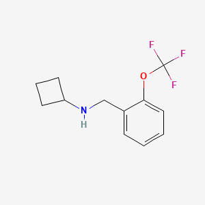 molecular formula C12H14F3NO B1454070 N-{[2-(trifluoromethoxy)phenyl]methyl}cyclobutanamine CAS No. 1455998-47-6