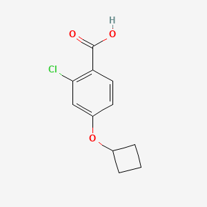 molecular formula C11H11ClO3 B1454079 2-Chloro-4-cyclobutoxybenzoic acid CAS No. 1341286-03-0