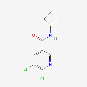 molecular formula C10H10Cl2N2O B1454104 5,6-二氯-N-环丁基烟酰胺 CAS No. 1249443-42-2