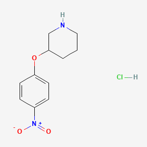 molecular formula C11H15ClN2O3 B1454147 3-(4-Nitrophenoxy)piperidine hydrochloride CAS No. 1187927-90-7