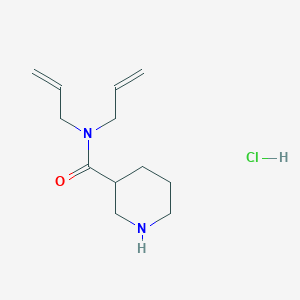 molecular formula C12H21ClN2O B1454154 N,N-Diallyl-3-piperidinecarboxamide hydrochloride CAS No. 1220033-56-6