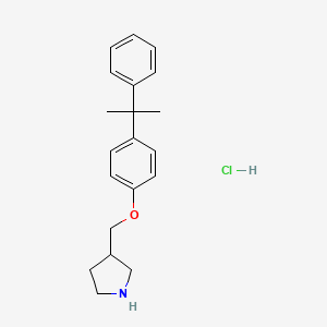 molecular formula C20H26ClNO B1454156 3-{[4-(1-Methyl-1-phenylethyl)phenoxy]-methyl}pyrrolidine hydrochloride CAS No. 1220032-15-4