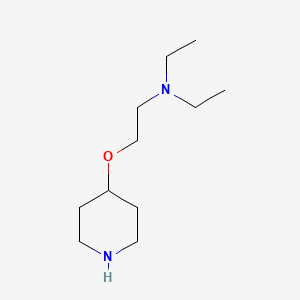 molecular formula C11H24N2O B1454233 Diethyl[2-(piperidin-4-yloxy)ethyl]amine CAS No. 1000819-35-1