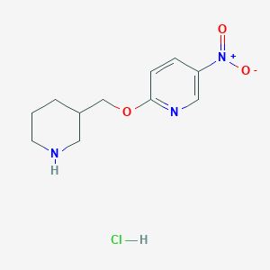 5-Nitro-2-(3-piperidinylmethoxy)pyridine hydrochloride