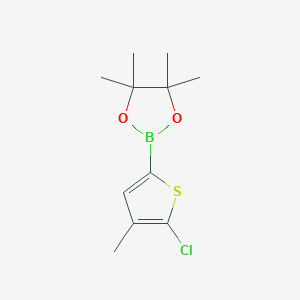 molecular formula C11H16BClO2S B1454501 2-(5-Chloro-4-methylthiophen-2-YL)-4,4,5,5-tetramethyl-1,3,2-dioxaborolane CAS No. 1111095-98-7