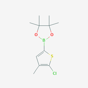 2-(5-Chloro-4-methylthiophen-2-YL)-4,4,5,5-tetramethyl-1,3,2-dioxaborolane