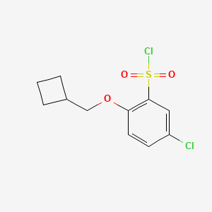 5-Chloro-2-(cyclobutylmethoxy)benzene-1-sulfonyl chloride