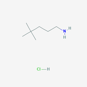 molecular formula C7H18ClN B1454713 4,4-二甲基戊胺-1-盐酸盐 CAS No. 1266694-57-8