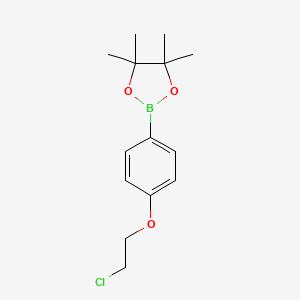 molecular formula C14H20BClO3 B1454840 2-(4-(2-Chloroethoxy)phenyl)-4,4,5,5-tetramethyl-1,3,2-dioxaborolane CAS No. 1256359-01-9