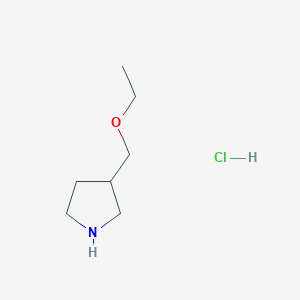 molecular formula C7H16ClNO B1454983 3-(Ethoxymethyl)pyrrolidine hydrochloride CAS No. 1185298-39-8