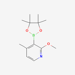 molecular formula C13H20BNO3 B1455054 2-Methoxy-4-methyl-3-(4,4,5,5-tetramethyl-1,3,2-dioxaborolan-2-YL)pyridine CAS No. 1420998-43-1