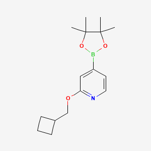 molecular formula C16H24BNO3 B1455112 2-(Cyclobutylmethoxy)-4-(4,4,5,5-tetramethyl-1,3,2-dioxaborolan-2-yl)pyridine CAS No. 1346708-00-6