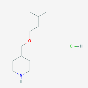 molecular formula C11H24ClNO B1455167 4-[(3-Methylbutoxy)methyl]piperidine hydrochloride CAS No. 1171432-92-0