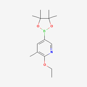 molecular formula C14H22BNO3 B1455192 2-Ethoxy-3-methyl-5-(4,4,5,5-tetramethyl-1,3,2-dioxaborolan-2-yl)pyridine CAS No. 1375303-03-9