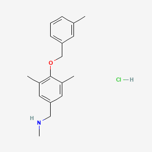 molecular formula C18H24ClNO B1455335 （{3,5-二甲基-4-[(3-甲基苯基)甲氧基]苯基}甲基）（甲基）胺盐酸盐 CAS No. 1311316-37-6