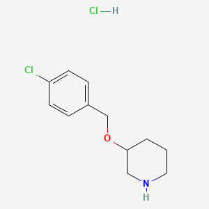 molecular formula C12H17Cl2NO B1455446 3-[(4-Chlorobenzyl)oxy]piperidine hydrochloride CAS No. 1220033-10-2