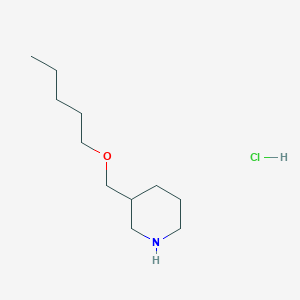 molecular formula C11H24ClNO B1455447 3-[(Pentyloxy)methyl]piperidine hydrochloride CAS No. 1220036-94-1