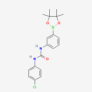 molecular formula C19H22BClN2O3 B1455472 1-(4-Chlorophenyl)-3-(3-(4,4,5,5-tetramethyl-1,3,2-dioxaborolan-2-yl)phenyl)urea CAS No. 874302-00-8