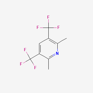 molecular formula C9H7F6N B1455480 2,6-二甲基-3,5-双(三氟甲基)吡啶 CAS No. 1221272-91-8