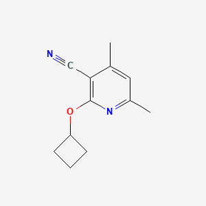 molecular formula C12H14N2O B1455484 2-Cyclobutoxy-4,6-dimethylpyridine-3-carbonitrile CAS No. 1247157-16-9