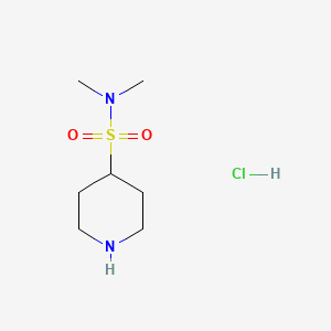 molecular formula C7H17ClN2O2S B1455628 N,N-dimethylpiperidine-4-sulfonamide hydrochloride CAS No. 956034-29-0