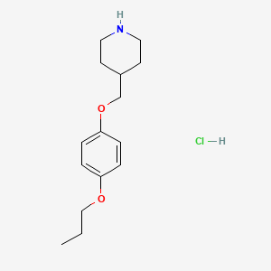 molecular formula C15H24ClNO2 B1455635 4-[(4-Propoxyphenoxy)methyl]piperidine hydrochloride CAS No. 1220037-45-5