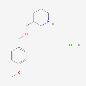 molecular formula C14H22ClNO2 B1455636 3-{[(4-Methoxybenzyl)oxy]methyl}piperidine hydrochloride CAS No. 1219977-33-9