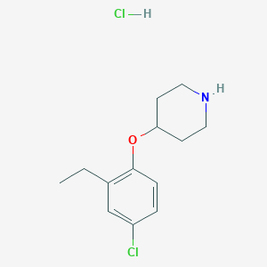 molecular formula C13H19Cl2NO B1455637 4-(4-氯-2-乙基苯氧基)哌啶盐酸盐 CAS No. 1220030-97-6