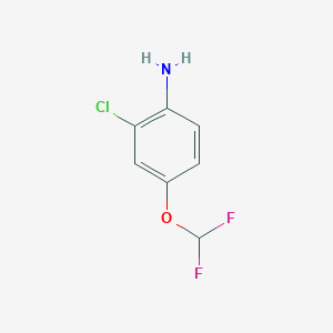 molecular formula C7H6ClF2NO B1455856 2-Chloro-4-(difluoromethoxy)aniline CAS No. 1247745-21-6