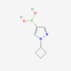 B1455886 (1-Cyclobutylpyrazol-4-yl)boronic acid CAS No. 1443112-54-6