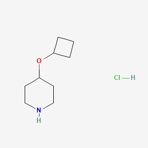 4-Cyclobutoxypiperidine hydrochloride