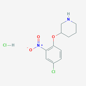 molecular formula C11H14Cl2N2O3 B1456137 3-(4-Chloro-2-nitrophenoxy)piperidine hydrochloride CAS No. 1219976-27-8