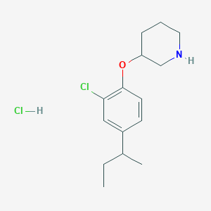molecular formula C15H23Cl2NO B1456143 3-[4-(sec-Butyl)-2-chlorophenoxy]piperidine hydrochloride CAS No. 1220019-79-3