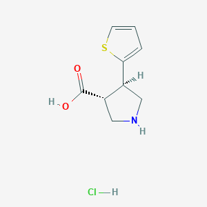 molecular formula C9H12ClNO2S B1456148 (+/-)-trans-4-(2-Thienyl)-pyrrolidine-3-carboxylic acid-HCl CAS No. 1864003-38-2