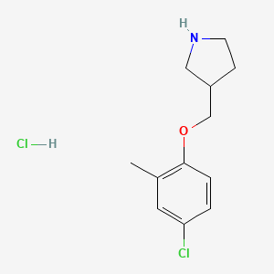 molecular formula C12H17Cl2NO B1456170 4-Chloro-2-methylphenyl 3-pyrrolidinylmethyl-ether hydrochloride CAS No. 1220029-87-7