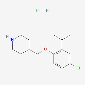 molecular formula C15H23Cl2NO B1456175 4-((4-Chloro-2-isopropylphenoxy)methyl)piperidine hydrochloride CAS No. 1220032-86-9