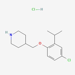 4-[(4-Chloro-2-isopropylphenoxy)methyl]piperidine hydrochloride